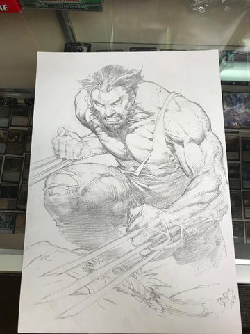 Wolverine 11 x 17 by Ed Benes