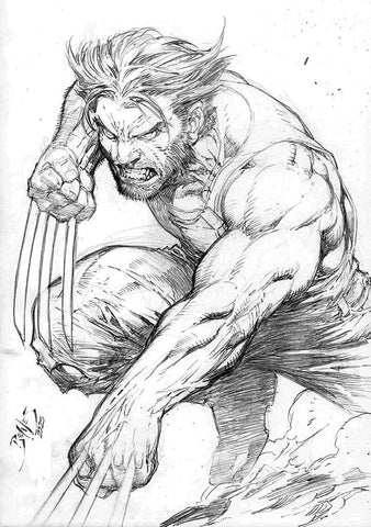 Wolverine by Ed Benes