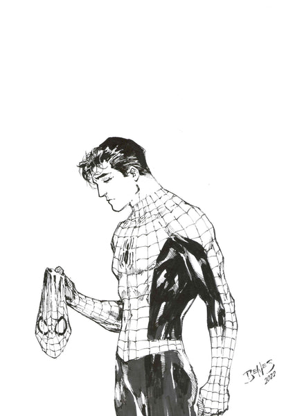 Peter Parker Spider-Man by Ed Benes – Rodman Comics