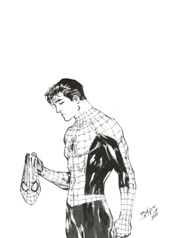 Peter Parker Spider-Man by Ed Benes